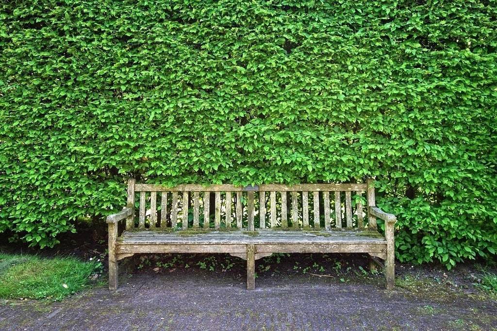 Faire appel à un expert pour l'entretien de votre jardin